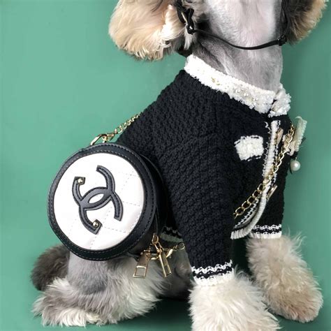 chanel clothes for dogs|purrfect chanel dog.